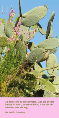 hoeren-brauchen-kaktus